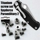 Blade Tip Screw Titanium Alloy Screw