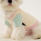 Puppy Dog Colour Clash Home Wear Bottom Shirt Clothes