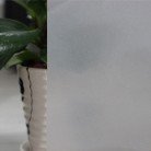 Glossy Opaque Sticker Pasted On Frosted Glass