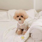 Pet Casual Color Contrast Cat Dog Clothing