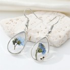 Bohemian Transparent Resin Dry Flower Earrings